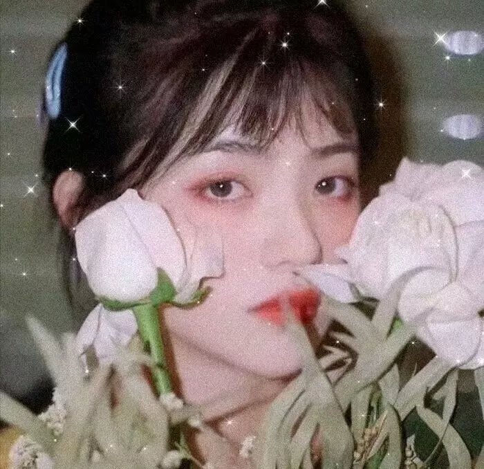我的家人和其他动物